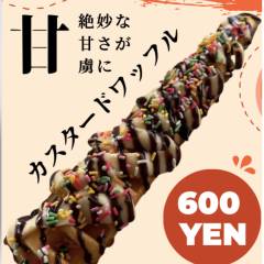 image-slider-with-thumbnail4.jpeg