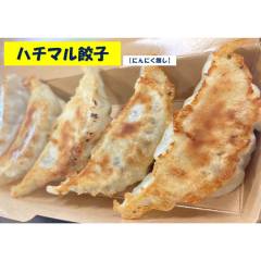 ハチマルぎょうざ_2P