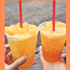 ウッキーキッチンカー_6P